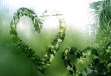 辽宁沈阳东北虎客场逆转长春亚泰，提前锁定季后赛名额的简单介绍